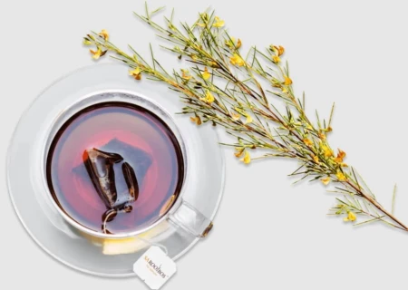 Szklana filiżanka z zaparzoną herbatą rooibos, w której znajduje się torebka herbaty z metką „SAROOBOS”. Obok filiżanki leży świeża gałązka rooibosa z drobnymi żółtymi kwiatami. Jasne tło podkreśla naturalny charakter produktu.
