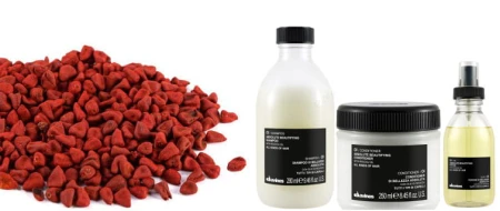 Po lewej stronie czerwone nasiona rośliny roucou (annatto), po prawej trzy produkty do pielęgnacji włosów marki Davines z linii OI: szampon, odżywka i olejek – wszystkie w minimalistycznych opakowaniach z czarnymi etykietami.